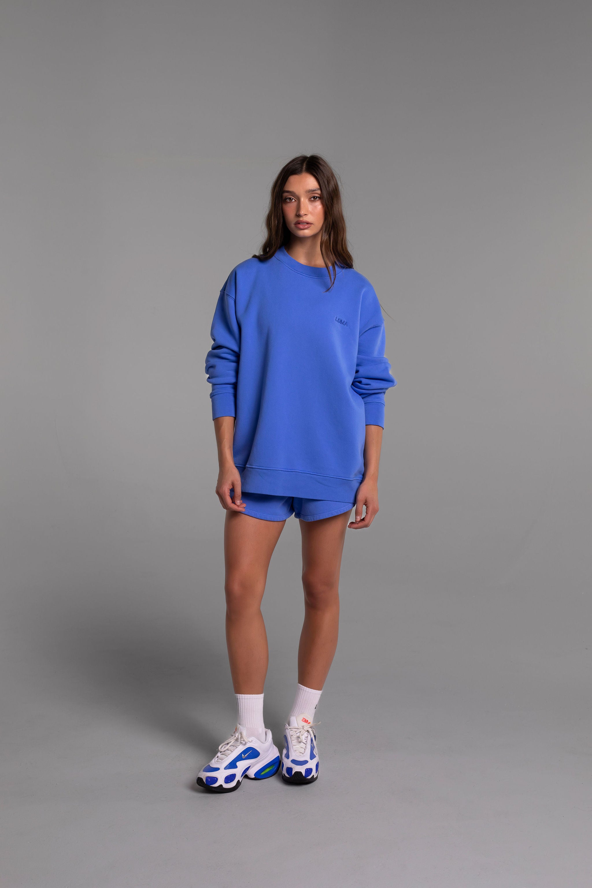 RECOGNIZE レコグナイズ クルーネック トレーナー ライトブルー XL All Day Crew in Laguna Blue | LDMA