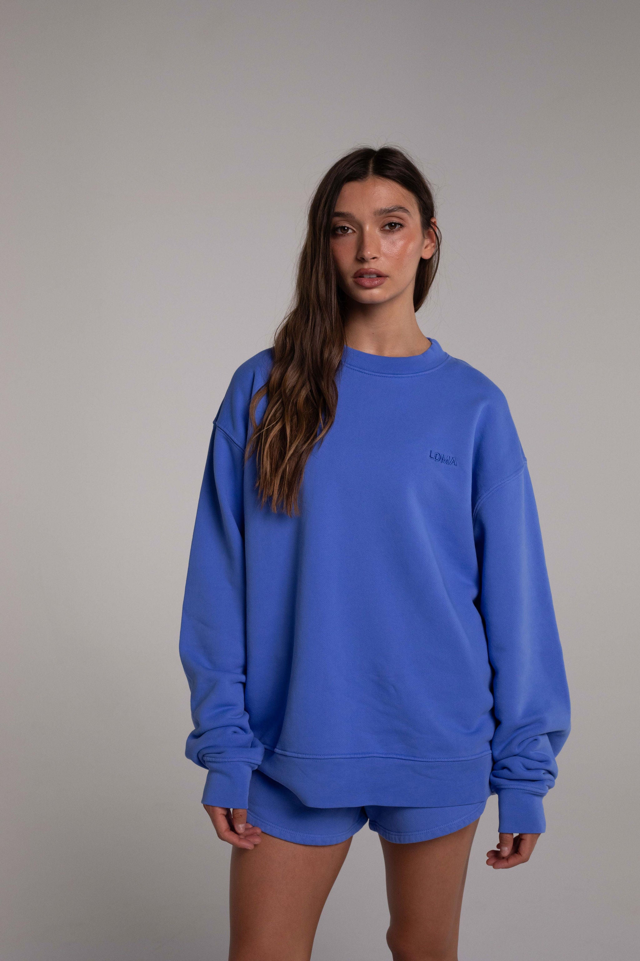 RECOGNIZE レコグナイズ クルーネック トレーナー ライトブルー XL All Day Crew in Laguna Blue | LDMA